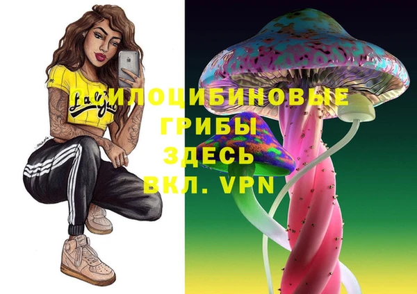 MDMA Premium VHQ Богородицк